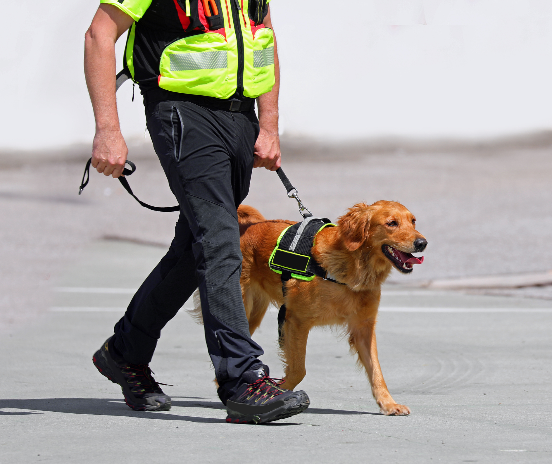 How Can You Challenge a Drug Dog Alert in a Florida Criminal Case?